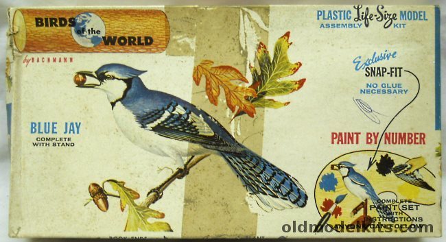 Bachmann 1/1 Birds of the World Blue Jay, 9100-149 plastic model kit